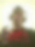 صورة العضو