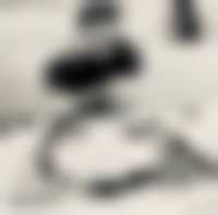 La photo du membre