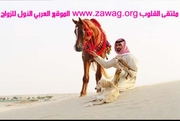 Marriage website