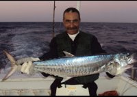 موقع زواج