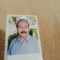 صورة العضو