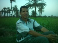 صورة العضو