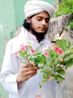 Site de mariage