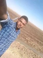صورة العضو